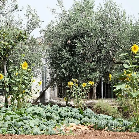Holiday home Casa Le Gebbie