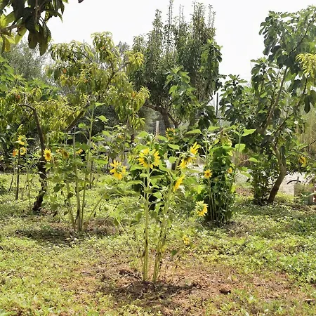 Casa Le Gebbie *