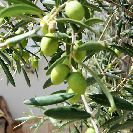 Casa Le Gebbie * Marzamemi
