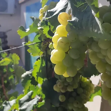 Hébergement de vacances Casa Le Gebbie Marzamemi