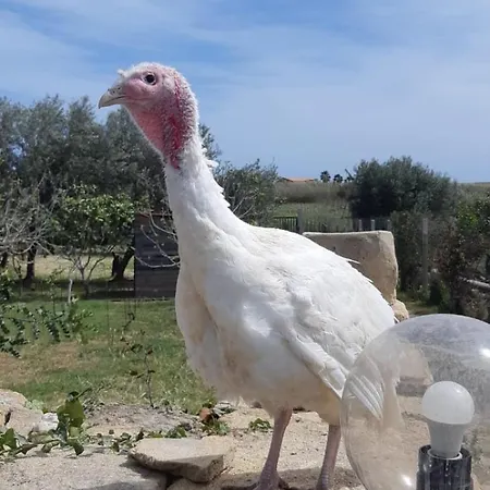 Casa Le Gebbie Hébergement de vacances *